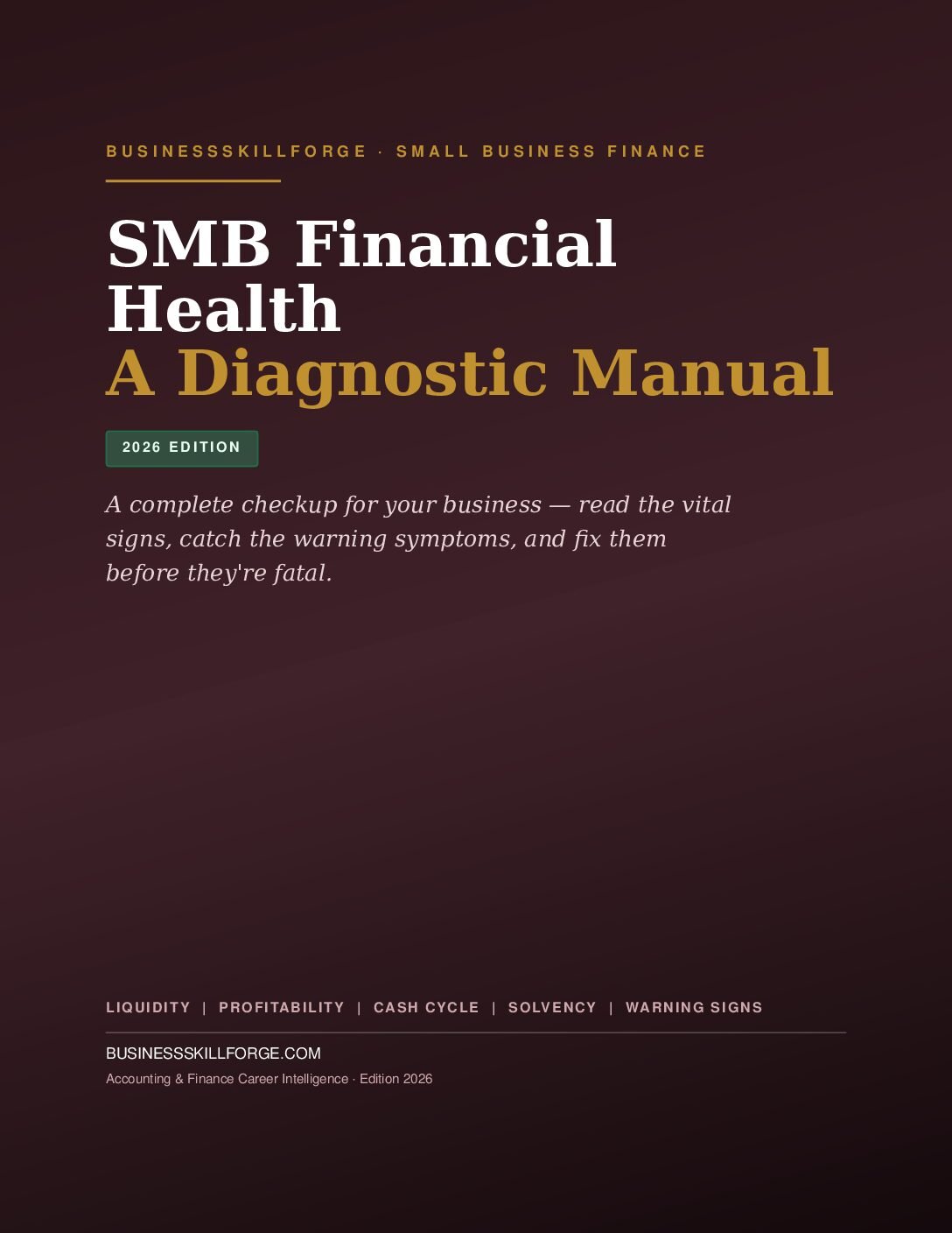 SMB Financial Health: A Diagnostic Manual
